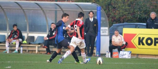 Pippo8