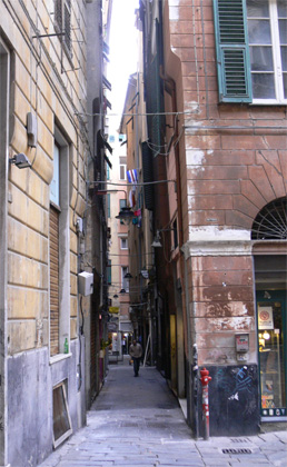 genova 5